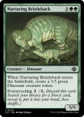 【ENG】養育する鋸背/Nurturing Bristleback[MTG_LCI_203C]