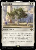 【JPN】★Foil★白の木に花開く/Flowering of the White Tree[MTG_LTR_0015R]