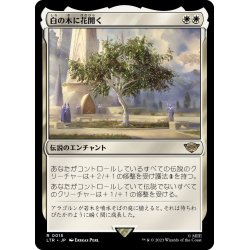 画像1: 【JPN】★Foil★白の木に花開く/Flowering of the White Tree[MTG_LTR_0015R]