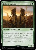 【JPN】偶然出会ったエルフ/Chance-Met Elves[MTG_LTR_0157C]