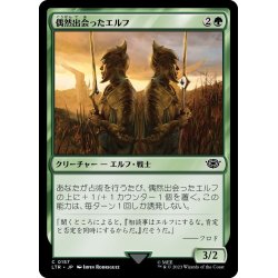 画像1: 【JPN】偶然出会ったエルフ/Chance-Met Elves[MTG_LTR_0157C]