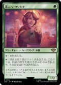 【JPN】★Foil★喜ぶハーフリング/Delighted Halfling[MTG_LTR_0158R]