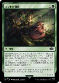 【JPN】エントの憤怒/Ent's Fury[MTG_LTR_0164C]