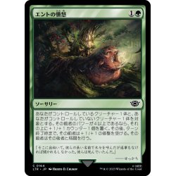 画像1: 【JPN】エントの憤怒/Ent's Fury[MTG_LTR_0164C]