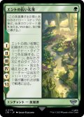 【JPN】エントの長い名簿/Long List of the Ents[MTG_LTR_0174U]