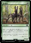 【JPN】茸の番犬/Mushroom Watchdogs[MTG_LTR_0180C]