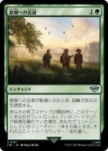 【JPN】茸畑への近道/Shortcut to Mushrooms[MTG_LTR_0187U]