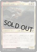 【JPN】★Foil★恐れを知らぬ騎士、エオウィン/?owyn, Fearless Knight[MTG_LTR_0201R]