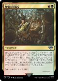 【JPN】友情の対抗心/Friendly Rivalry[MTG_LTR_0204U]