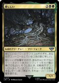 【JPN】柳じじい/Old Man Willow[MTG_LTR_0217U]