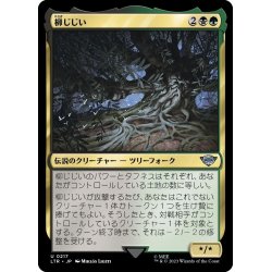 画像1: 【JPN】柳じじい/Old Man Willow[MTG_LTR_0217U]