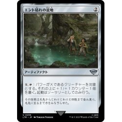 画像1: 【JPN】エント枯れの盆地/Ent-Draught Basin[MTG_LTR_0238U]