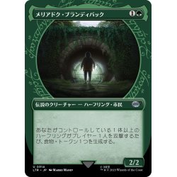 画像1: 【JPN】メリアドク・ブランディバック/Meriadoc Brandybuck[MTG_LTR_0314U]