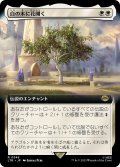 【JPN】白の木に花開く/Flowering of the White Tree[MTG_LTR_0348R]