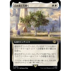 画像1: 【JPN】白の木に花開く/Flowering of the White Tree[MTG_LTR_0348R]