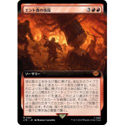 画像1: 【JPN】エント森の伐採/Hew the Entwood[MTG_LTR_0361M]