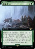 【JPN】指輪、南へいく/The Ring Goes South[MTG_LTR_0366R]