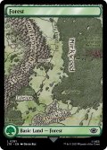 【ENG】森/Forest[MTG_LTR_0281L]