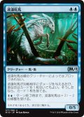 【JPN】波濤牝馬/Surge Mare[MTG_M19_077U]