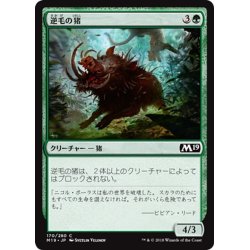 画像1: 【JPN】逆毛の猪/Bristling Boar[MTG_M19_170C]