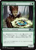 【JPN】緑探しのドライアド/Dryad Greenseeker[MTG_M19_178U]