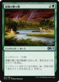 【JPN】楽園の贈り物/Gift of Paradise[MTG_M19_184U]