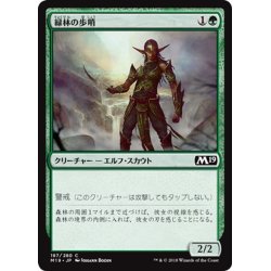 画像1: 【JPN】緑林の歩哨/Greenwood Sentinel[MTG_M19_187C]