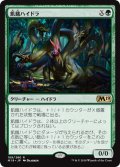 【JPN】飢餓ハイドラ/Hungering Hydra[MTG_M19_189R]