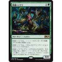 【JPN】飢餓ハイドラ/Hungering Hydra[MTG_M19_189R]