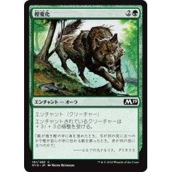 画像1: 【JPN】樫変化/Oakenform[MTG_M19_191C]