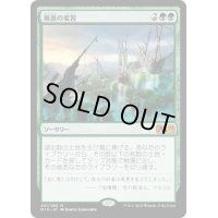 【JPN】風景の変容/Scapeshift[MTG_M19_201M]