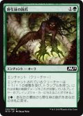 【JPN】野生林の鉤爪/Talons of Wildwood[MTG_M19_202C]