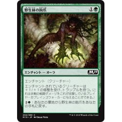 画像1: 【JPN】野生林の鉤爪/Talons of Wildwood[MTG_M19_202C]