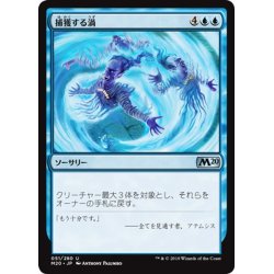 画像1: 【JPN】捕獲する渦/Captivating Gyre[MTG_M20_051U]