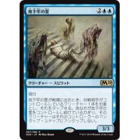 【JPN】地下牢の霊/Dungeon Geists[MTG_M20_057R]