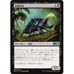 画像1: 【JPN】荒廃甲虫/Blightbeetle[MTG_M20_087U]