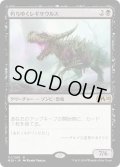 【JPN】朽ちゆくレギサウルス/Rotting Regisaur[MTG_M20_111R]