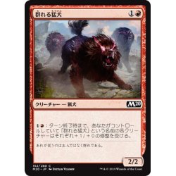 画像1: 【JPN】群れる猛犬/Pack Mastiff[MTG_M20_152C]