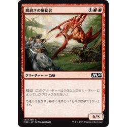 画像1: 【JPN】鱗剥ぎの捕食者/Ripscale Predator[MTG_M20_157C]