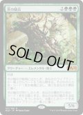 【JPN】茨の騎兵/Cavalier of Thorns[MTG_M20_167M]