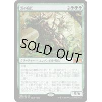 【JPN】茨の騎兵/Cavalier of Thorns[MTG_M20_167M]