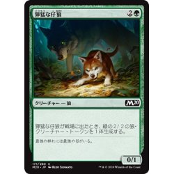 画像1: 【JPN】獰猛な仔狼/Ferocious Pup[MTG_M20_171C]