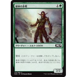 画像1: 【JPN】緑林の歩哨/Greenwood Sentinel[MTG_M20_174C]