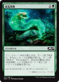 【JPN】成長周期/Growth Cycle[MTG_M20_175C]