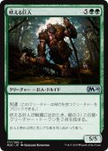 【JPN】吠える巨人/Howling Giant[MTG_M20_177U]