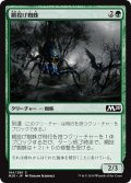 【JPN】網投げ蜘蛛/Netcaster Spider[MTG_M20_184C]