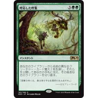 【JPN】呼応した呼集/Shared Summons[MTG_M20_193R]