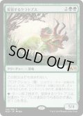 【JPN】変容するケラトプス/Shifting Ceratops[MTG_M20_194R]