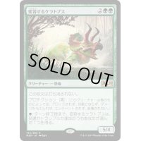 【JPN】変容するケラトプス/Shifting Ceratops[MTG_M20_194R]