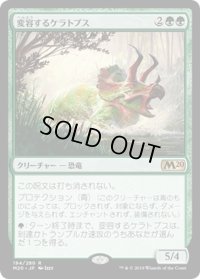 【JPN】変容するケラトプス/Shifting Ceratops[MTG_M20_194R]